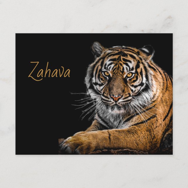 Kort för gyllene tigerhölje (Framsida)