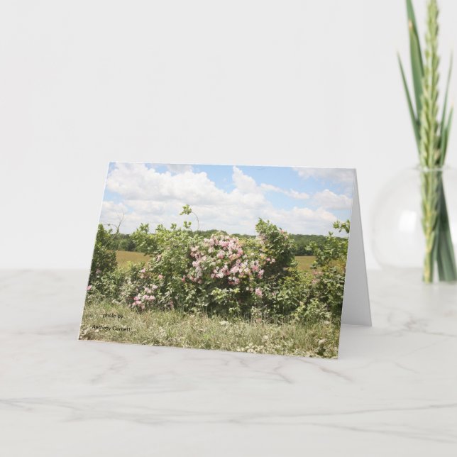 Kort för hälsning (Framsida)