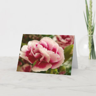 Kort för hälsning 123 - rosa nejlika
