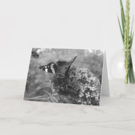 Kort för hälsning - Amiral Butterfly in Black & Wh