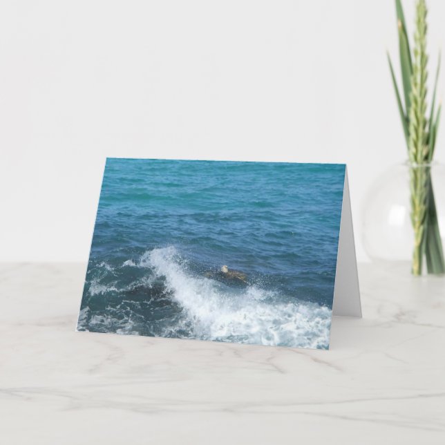 Kort för hälsning av badsköldpaddor (uppmuntran) (Framsida)