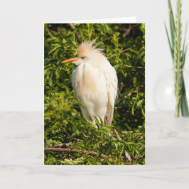 Kort för hälsning av boskapsegenkänning