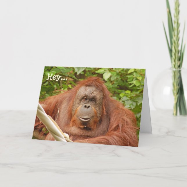 Kort för hälsning av Cute orangutan-födelsedag (Framsida)
