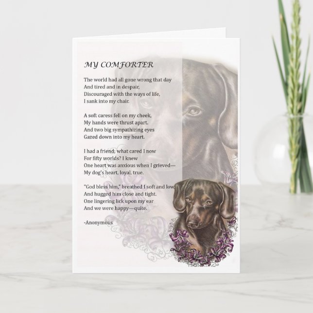 Kort för hälsning av Dachshund Hund Comforter Poet (Framsida)