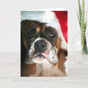 Kort för hälsning av julboxare-Hund