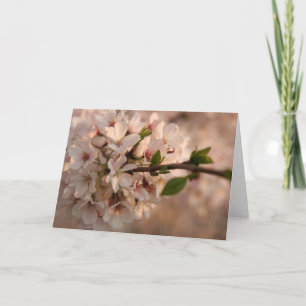 Kort för hälsning av körsbär Blommar