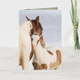 Kort för hälsning av nuzzle Vild Horse