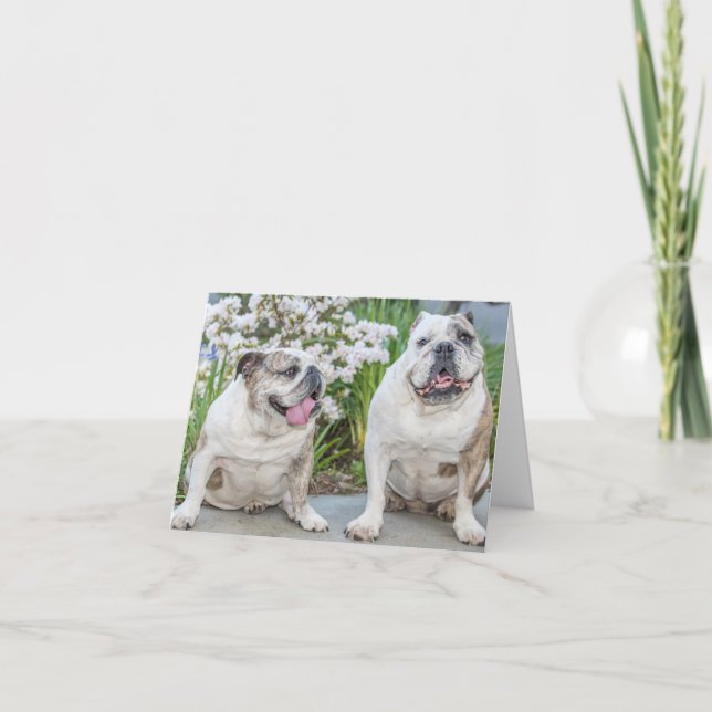 Kort för hälsning av Personligen Cute Bulldog (Framsida)