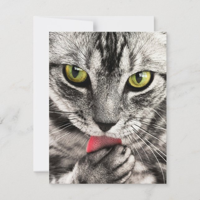 Kort för hälsning av prospekt på stadiet för inbju (Framsida)