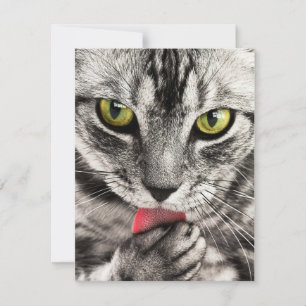 Kort för hälsning av prospekt på stadiet för inbju