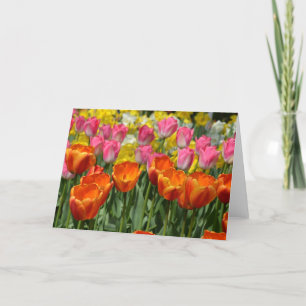 Kort för hälsning av rosa och orange vår