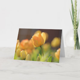 Kort för hälsning - Blommigten Vår Gult
