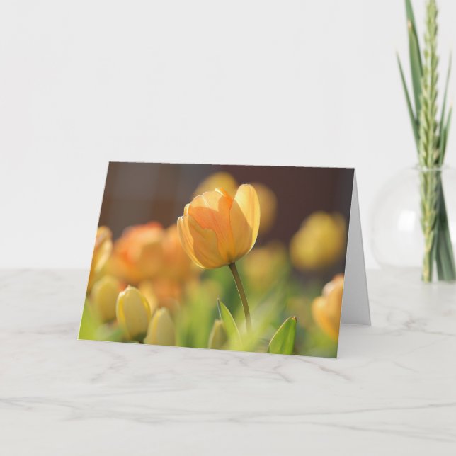 Kort för hälsning - Blommigten Vår Gult (Framsida)
