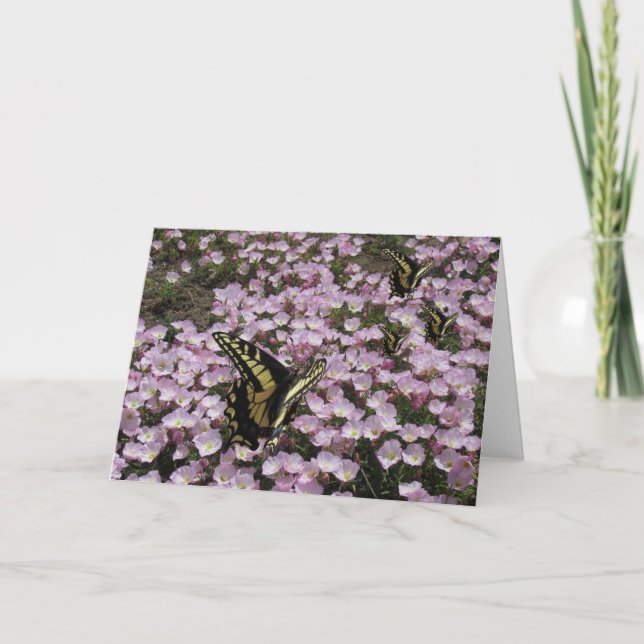 Kort för hälsning - Butterflies och Flowers (Framsida)