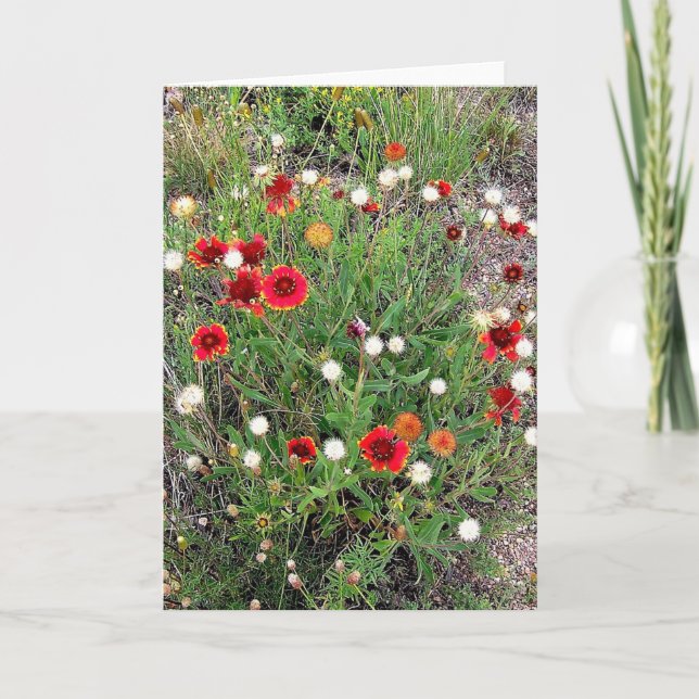 Kort för hälsning Colorado Wildblommor (Framsida)