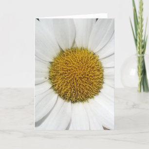 Kort för hälsning - Daisy