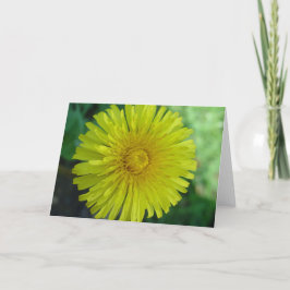 Kort för hälsning - Dandelion