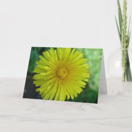 Kort för hälsning - Dandelion