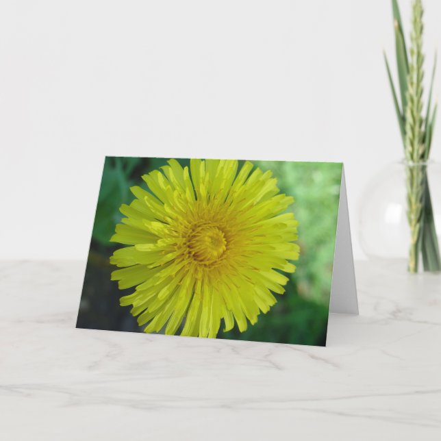 Kort för hälsning - Dandelion (Framsida)