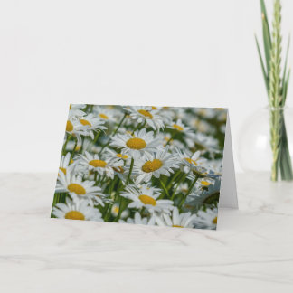 Kort för hälsning - Djuren i Vermont