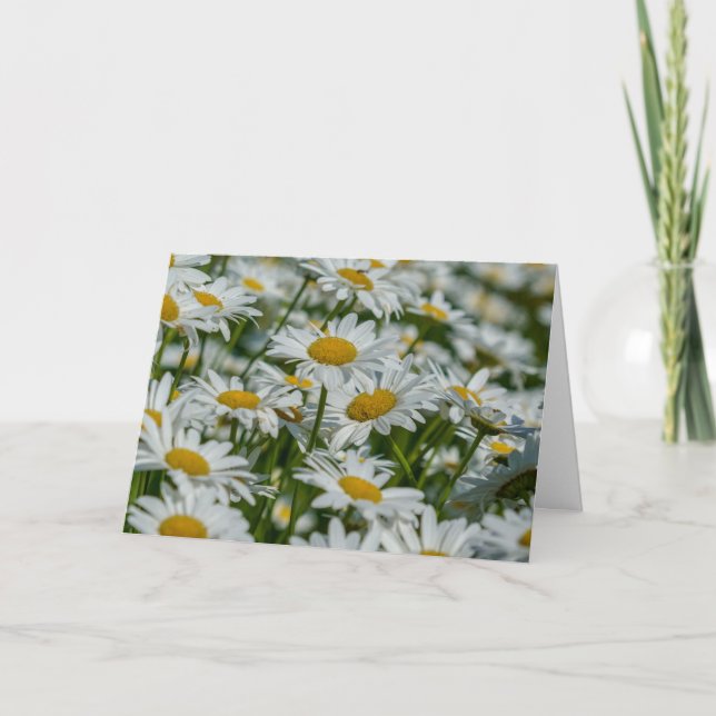 Kort för hälsning - Djuren i Vermont (Framsida)