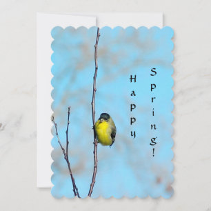 Kort för hälsning - Finch för Vår
