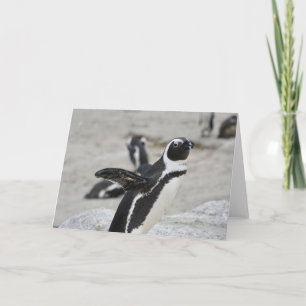 Kort för hälsning - flagga penguin