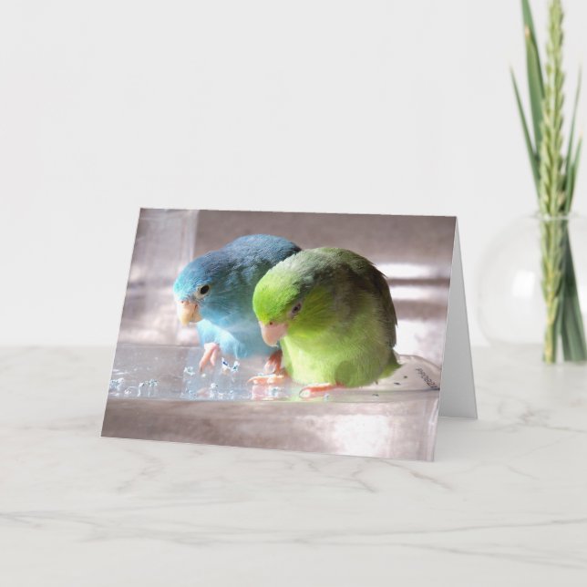 Kort för hälsning för bästa vänför evigtParrotlet (Framsida)