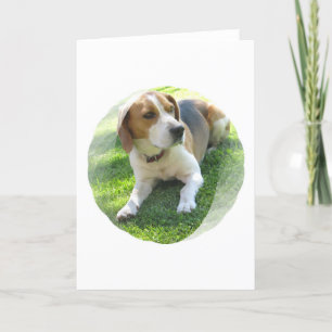 Kort för hälsning för Beaglehundhund