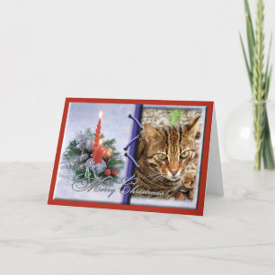 Kort för hälsning för Bengal kattjul
