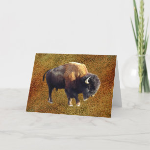 Kort för hälsning för Bisonbuffeldjurliv