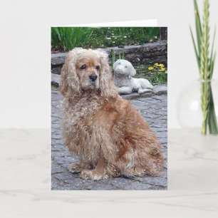 Kort för hälsning för blond hund för