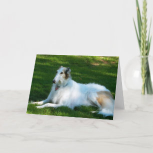 Kort för hälsning "för Borzoi" hundfoto