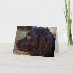 Kort för hälsning för Boykin Spanielfoto