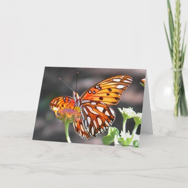Kort för hälsning för buktFritillaryfjäril (Framsida)