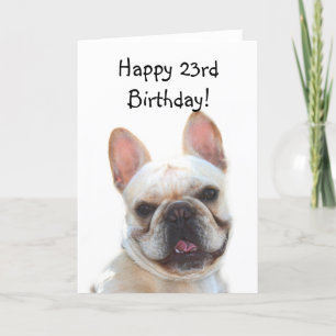 Kort för hälsning för bulldogg för 23rd födelsedag