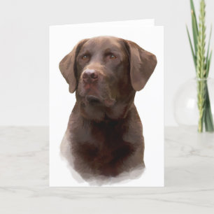 Kort för hälsning för chokladLabrador Retriever