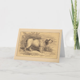 Kort för hälsning för Clumber Spaniel allmänt