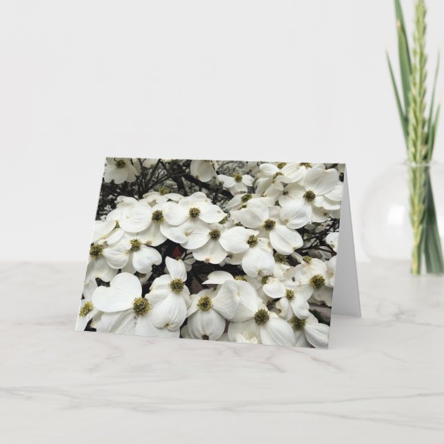 Kort för hälsning för Dogwoodblommar blom- (Framsida)