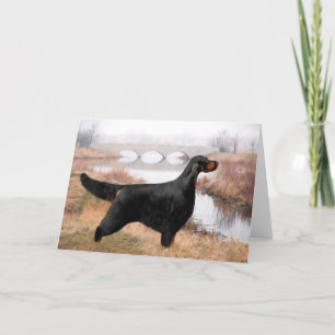 Kort för hälsning för Gordon Setter