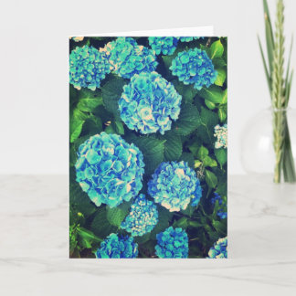 Kort för hälsning för härlig blåttvanlig hortensia
