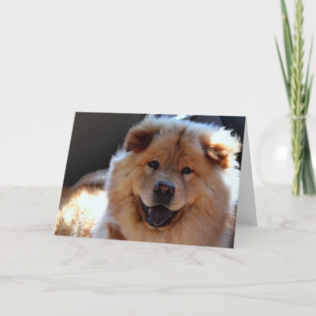 Kort för hälsning för hund för ChowChow (Framsida)