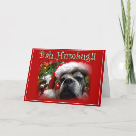 Kort för hälsning för julboxarehund