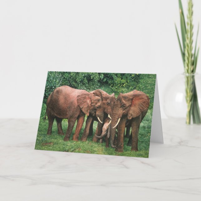 Kort för hälsning för konst för grabbCombes (Framsida)