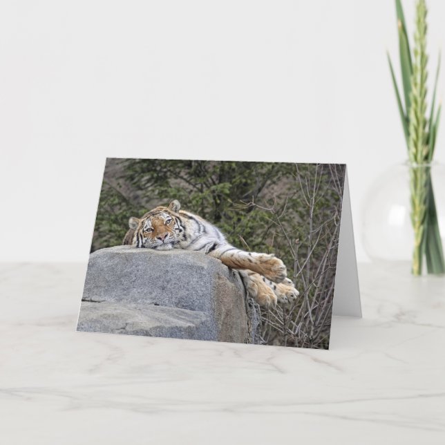 Kort för hälsning "för lat dag" för tiger (Framsida)