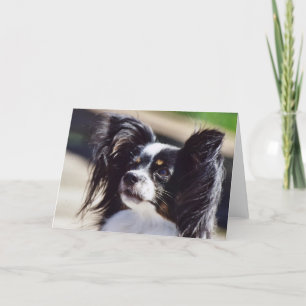 Kort för hälsning "för Papillon" hundfoto