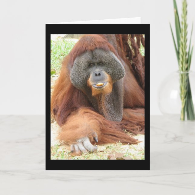 Kort för hälsning för PongoOrangutanapa (Framsida)