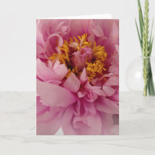 Kort för hälsning för rosa pionblomma tomt