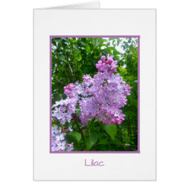 Kort för hälsning för samling för