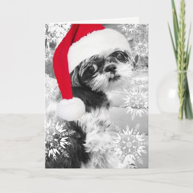 Kort för hälsning för Santa Shih Tzu flicka tomt (Framsida)